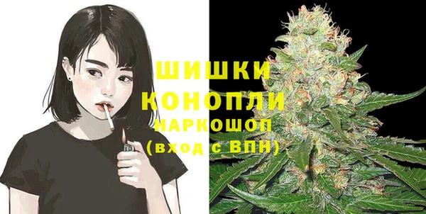 PSILOCYBIN Осинники