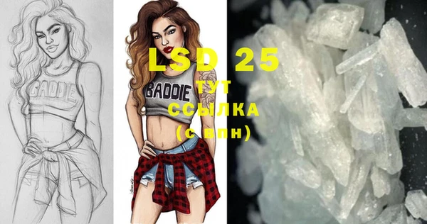 PSILOCYBIN Осинники