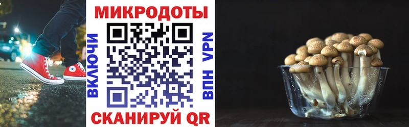 Купить закладки  Новомосковск  Галлюциногенные грибы GOLDEN TEACHER 